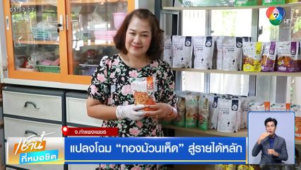 แปลงโฉม "ทองม้วนเห็ด" สู่รายได้หลัก จ.กำแพงเพชร