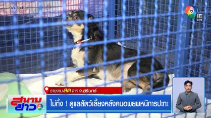 ไม่ทิ้ง ! ดูแลสัตว์เลี้ยงหลังคนอพยพหนีการปะทะ