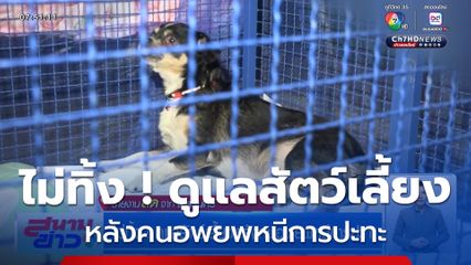 ไม่ทิ้ง ! ดูแลสัตว์เลี้ยงหลังคนอพยพหนีการปะทะ