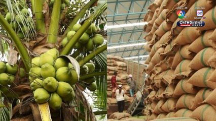 รมว.กษ. ยืนยัน ช่วยเกษตรกรเต็มที่ทุกมิติ ลดผลกระทบต่อสินค้าเกษตรของไทย จาก ภาษีทรัมป์ 19%