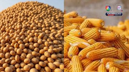 รมว.กษ. ยืนยัน ช่วยเกษตรกรเต็มที่ทุกมิติ ลดผลกระทบต่อสินค้าเกษตรของไทย จาก ภาษีทรัมป์ 19%