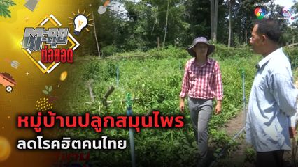 ตะลุยต่อยอด : หมู่บ้านปลูกสมุนไพร ลดโรคฮิตคนไทย