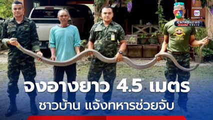 ขนลุกซู่! จงอางยักษ์ 4.5 เมตร ซุกโรงเก็บของหลังบ้าน เจ้าของบ้าน รีบแจ้งทหารค่ายฝึกรบพิเศษ ช่วยจับงูออกมาได้