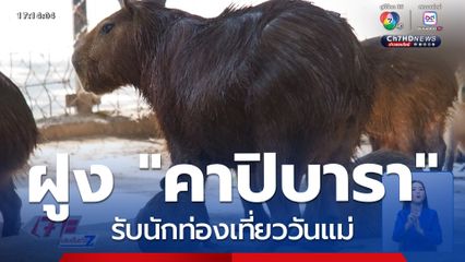 ฝูง "คาปิบารา" รับนักท่องเที่ยววันแม่ จ.ขอนแก่น