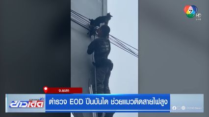 ตำรวจ EOD ปีนบันได ช่วยแมวติดสายไฟสูง