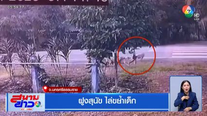 ฝูงสุนัข ไล่ขย้ำเด็ก