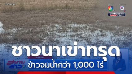 ข้าวจมน้ำกว่า 1,000 ไร่ จ.พะเยา