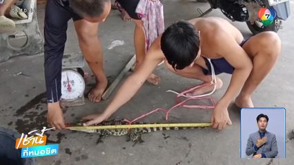 ชาวบ้านตกปลาได้ลูกจระเข้ จ.ชลบุรี