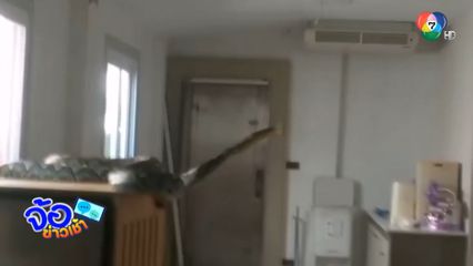 ผวา ! ยาวใหญ่ บุกบ้านจ้องเขมือบแมว 7 ตัว