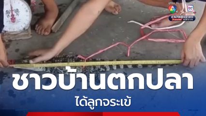 ชาวบ้านตกปลาได้ลูกจระเข้ จ.ชลบุรี