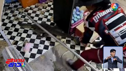 ตัวเงินตัวทอง โผล่กลางร้านกิฟต์ชอป