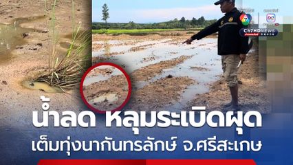 นาข้าว อ.กันทรลักษ์ จ.ศรีสะเกษ หลังน้ำลด พบหลุมระเบิดเพียบ ชาวบ้านล้อมเชือกฟาง รอเจ้าหน้าที่เก็บกู้
