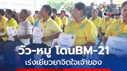 เยียวยาจิตใจเจ้าของ สัตว์เลี้ยงโดน BM-21 ตาย