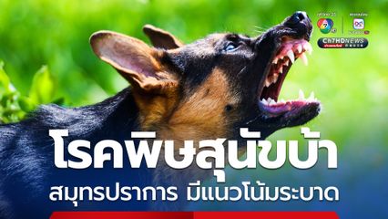 สธ.สั่งการรับมือโรคพิษสุนัขบ้า สมุทรปราการ