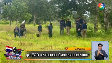 ชุด EOD เร่งทำลายระเบิดกลางสวนยางพารา จ.ศรีสะเกษ
