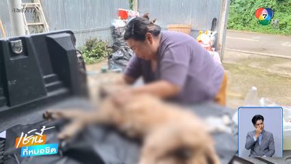 ทำเพื่อ ? วางยาเบื่อหมาตาย-เจ็บหลายตัว