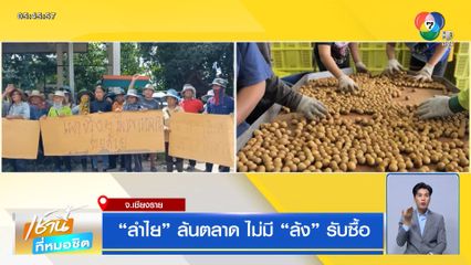 ลำไย ล้นตลาด ไม่มี ล้ง รับซื้อ จ.เชียงราย