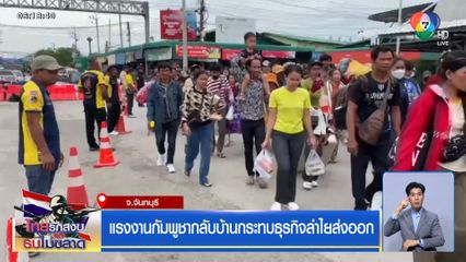 แรงงานกัมพูชากลับบ้านกระทบธุรกิจลำไยส่งออก