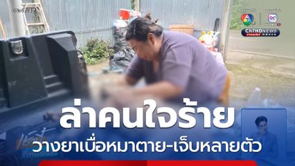 ทำเพื่อ ? วางยาเบื่อหมาตาย-เจ็บหลายตัว