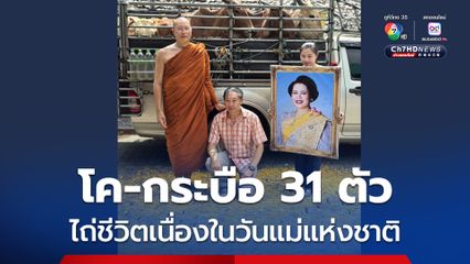 ไถ่ชีวิตโค-กระบือ 31 ตัว ถวายเป็นพระราชกุศลวันแม่แห่งชาติ