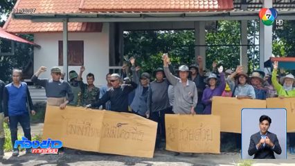 วันหยุดยาว ทำให้ลำไยล้นตลาด จ.เชียงราย