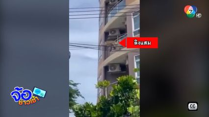 ลิงแสม จอมดื้อ บุกป่วนคอนโดฯ