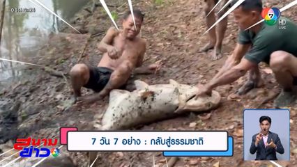 7 วัน 7 อย่าง : กลับสู่ธรรมชาติ