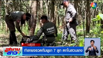 EOD ทำลายจรวดกัมพูชา 7 ลูก ตกในสวนยาง