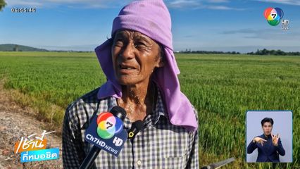 ชาวนากลั้นน้ำตาไม่ไหว เพราะราคาข้าวดิ่ง จ.พระนครศรีอยุธยา