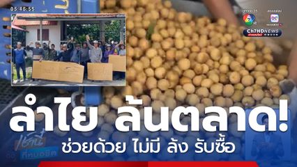 ลำไย ล้นตลาด ไม่มี ล้ง รับซื้อ จ.เชียงราย