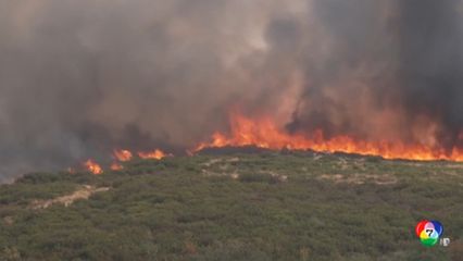 ร้อนจัด ! ทำให้เกิดไฟป่าหลายประเทศในยุโรป