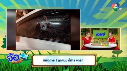 เฉียดตาย ! ถูกหินปาใส่กระจกรถ