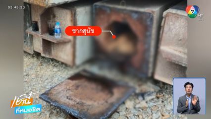 ผงะ ! รื้อเสาเข็มน้ำเหลืองไหล พบซากหมาตาย 1 ตัว