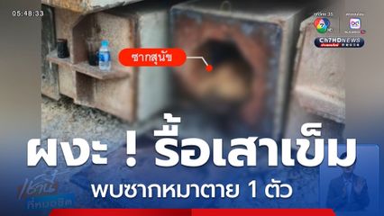 ผงะ ! รื้อเสาเข็มน้ำเหลืองไหล พบซากหมาตาย 1 ตัว