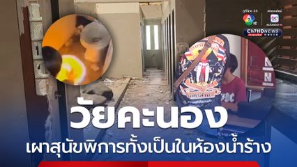 อ้างหมาจะกัด วัยรุ่นทำพิเรนทร์เผาสุนัขพิการทั้งเป็นในห้องน้ำร้าง ตำรวจเรียกแจ้งข้อกล่าวหา