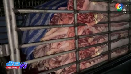 ก.เกษตรฯ ค้านใช้สารเร่งเนื้อแดง