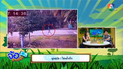 ฝูงสุนัข ไล่ขย้ำเด็ก