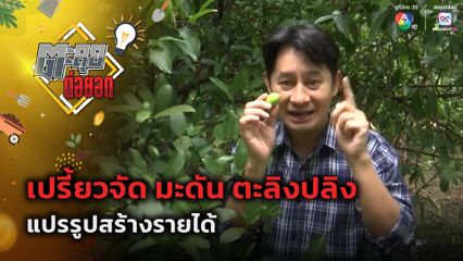 ตะลุยต่อยอด : เปรี้ยวจัด มะดัน ตะลิงปลิง แปรรูปสร้างรายได้