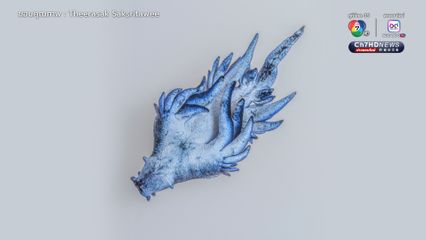 “มังกรทะเลสีน้ำเงิน” ชนิดใหม่ ตัวใหญ่กว่าเดิม