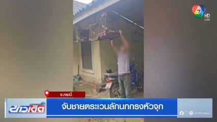 จับชายตระเวนลักนกกรงหัวจุก