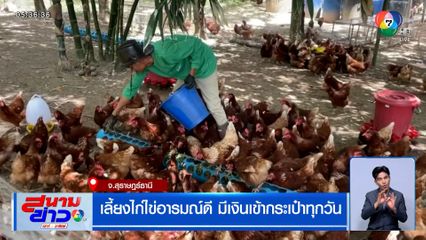 เลี้ยงไก่ไข่อารมณ์ดี มีเงินเข้ากระเป๋าทุกวัน
