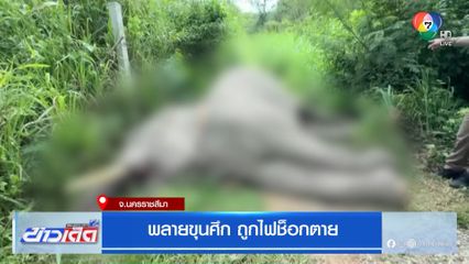 พลายขุนศึก ถูกไฟช็อกตาย จ.นครราชสีมา