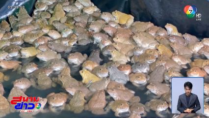 เศรษฐกิจซบ เดือดร้อนยัน "กบ" จ.ชัยนาท