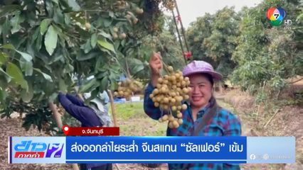 ส่งออกลำไยระส่ำ จีนสแกน ซัลเฟอร์ เข้ม