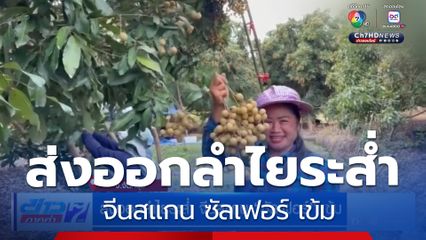 ส่งออกลำไยระส่ำ จีนสแกน ซัลเฟอร์ เข้ม