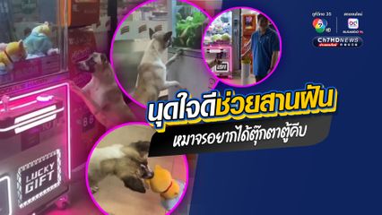 ไม่รู้จะเอ็นดูใครก่อนดี ชาวเน็ตแห่แชร์ สาวหล่อช่วยสานฝันน้องหมาจรจัดอยากได้ตุ๊กตาตู้คีบ