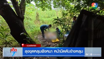 ลุงขุดหลุมฝังหมา หน้ามืดดับข้างหลุม