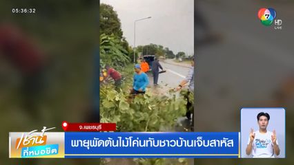 พายุพัดต้นไม้โค่นทับชาวบ้านเจ็บสาหัส