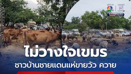 ชาวบ้านชายแดนไม่ไว้ใจเขมร แห่ขายวัว-ควาย แม้ราคาตก
