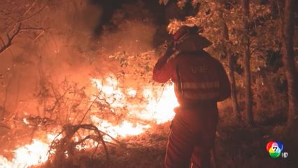 ไฟป่ายุโรปใต้ยังวิกฤต! สเปนไหม้กว่า 2 ล้านไร่ - โปรตุเกสเร่งอพยพน้องหมาหนีไฟ
